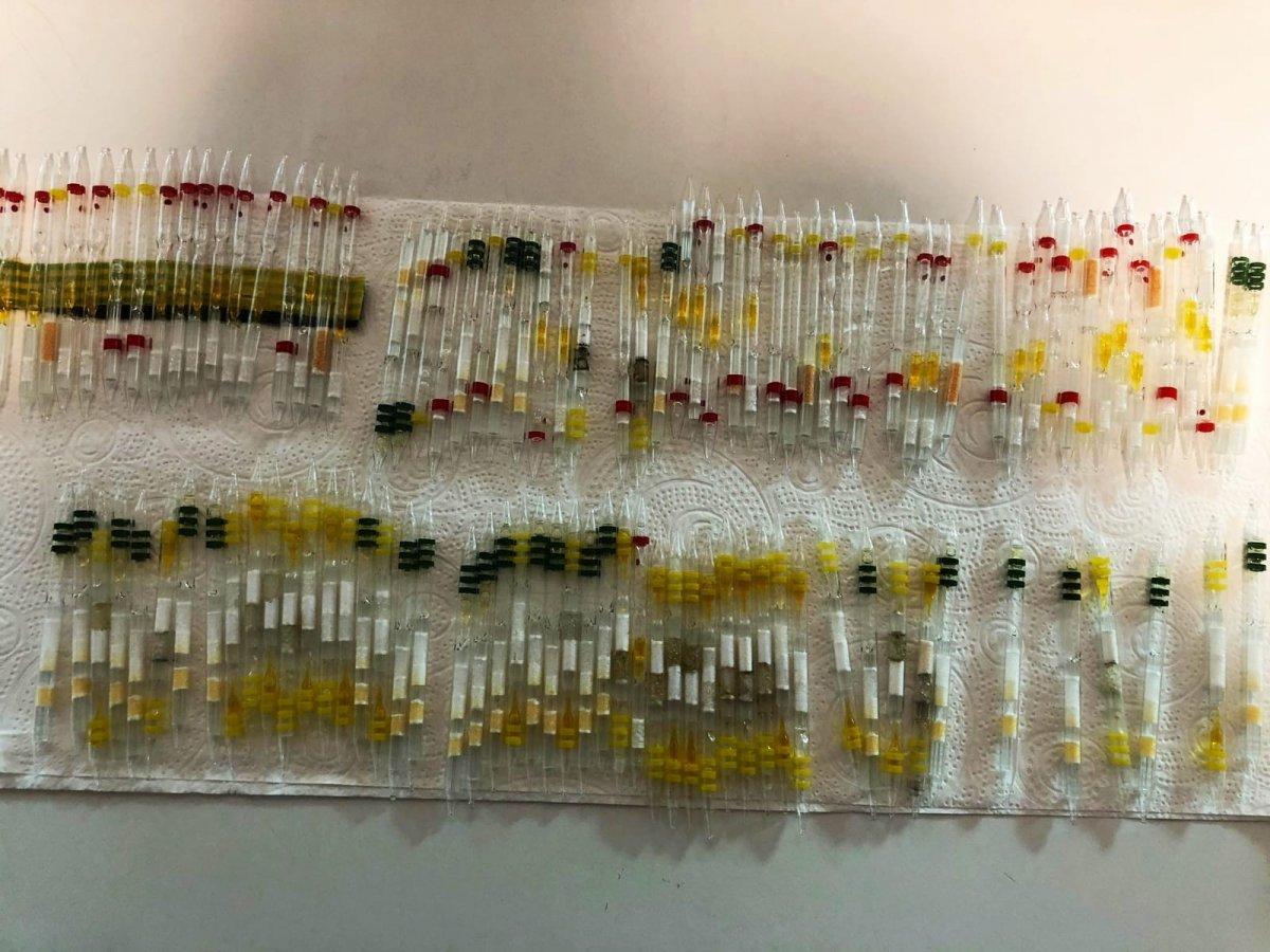 Sarp Sınır Kapısı'nda 230 tüp arı ve kobra yılanı zehri ele geçirildi