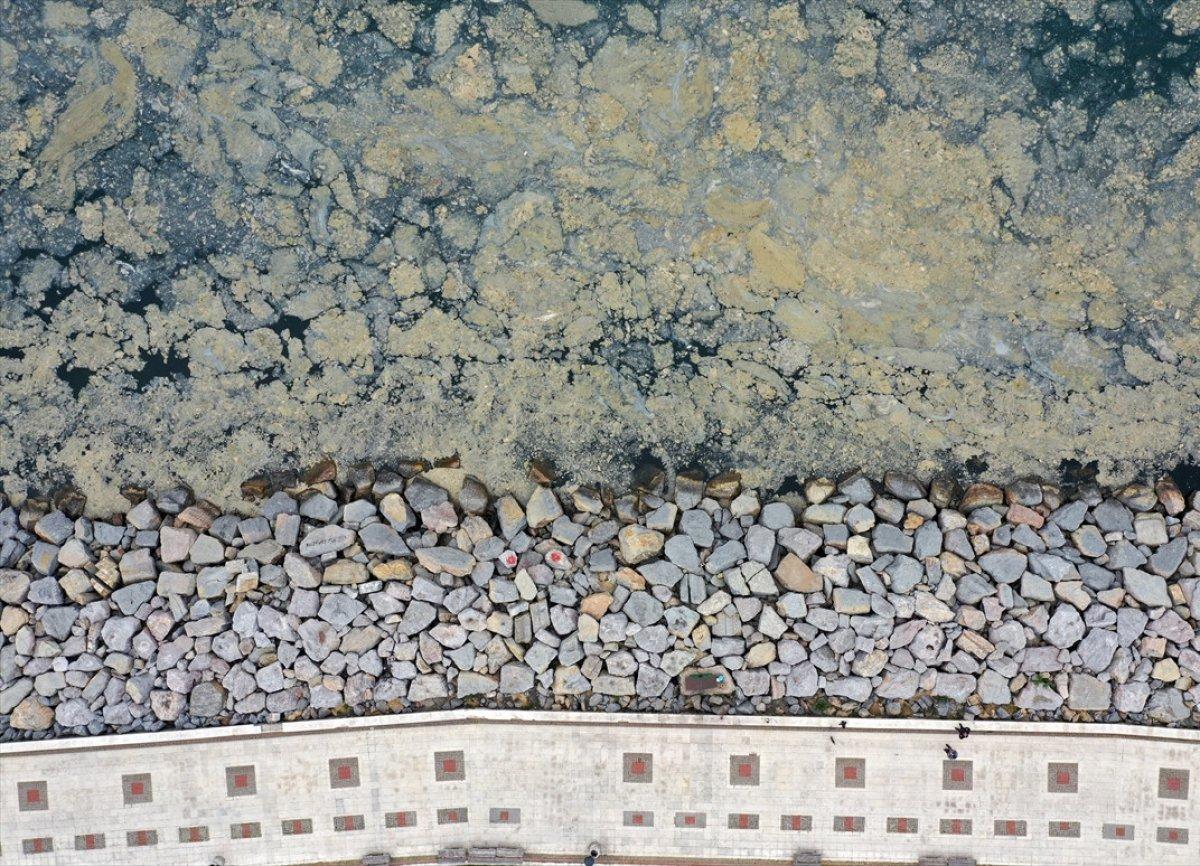 Marmara Denizi'ni deniz salyaları kapladı