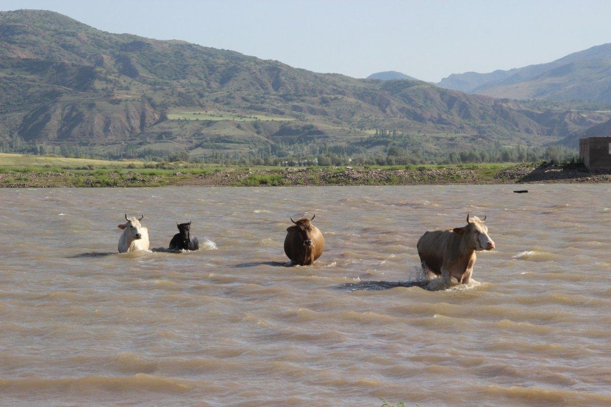 Sivas'ta Kılıçkaya Barajı, Afrika’yı aratmıyor