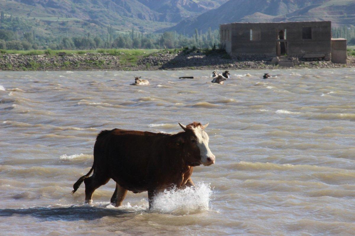 Sivas'ta Kılıçkaya Barajı, Afrika’yı aratmıyor