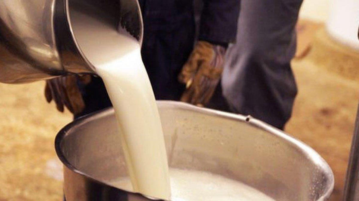 Sütteki hileye dikkat: Çamaşır suyu ekleniyor