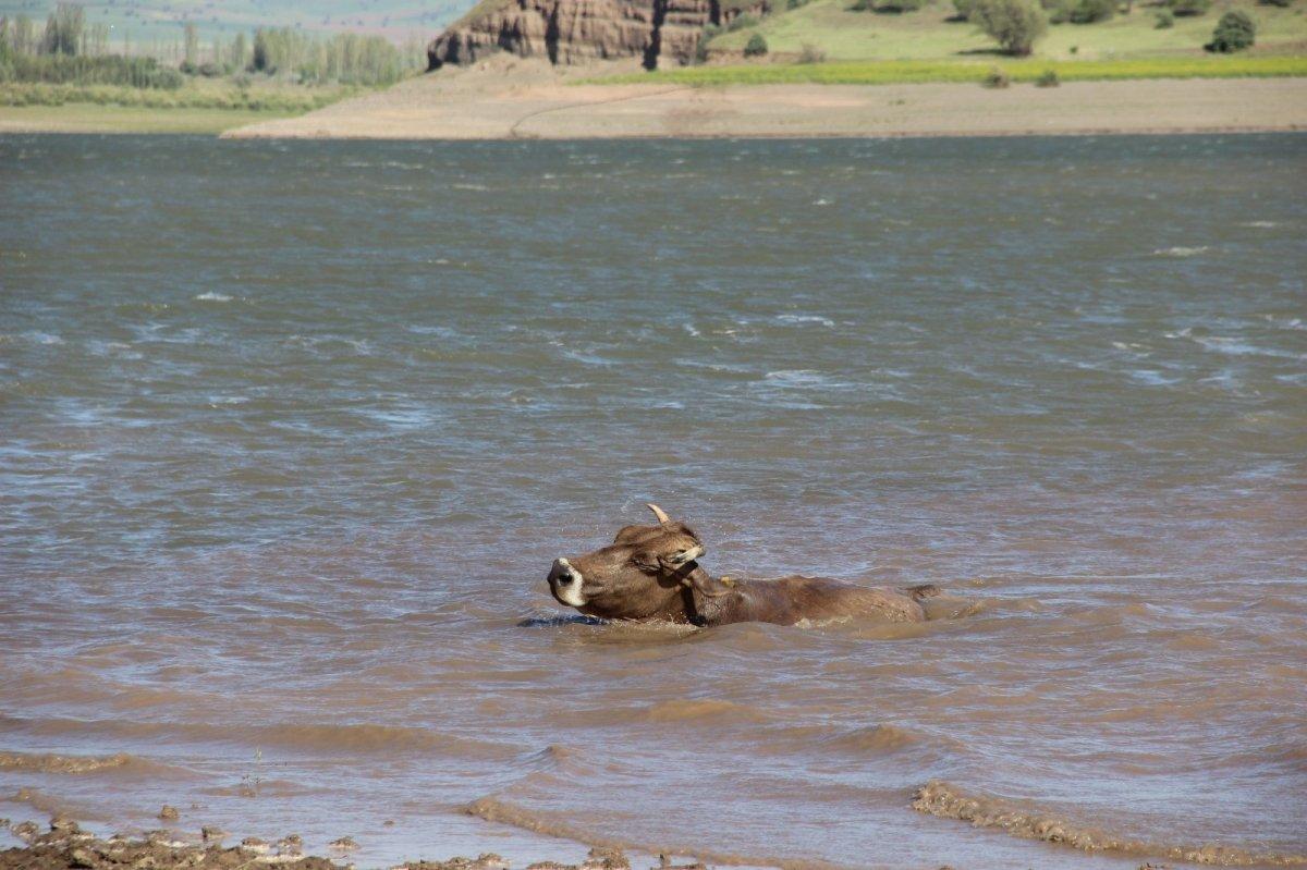 Sivas'ta Kılıçkaya Barajı, Afrika’yı aratmıyor