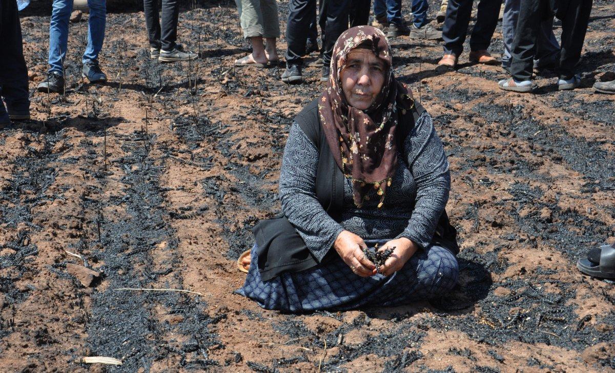 Gaziantep'te buğday ekili tarla küle döndü