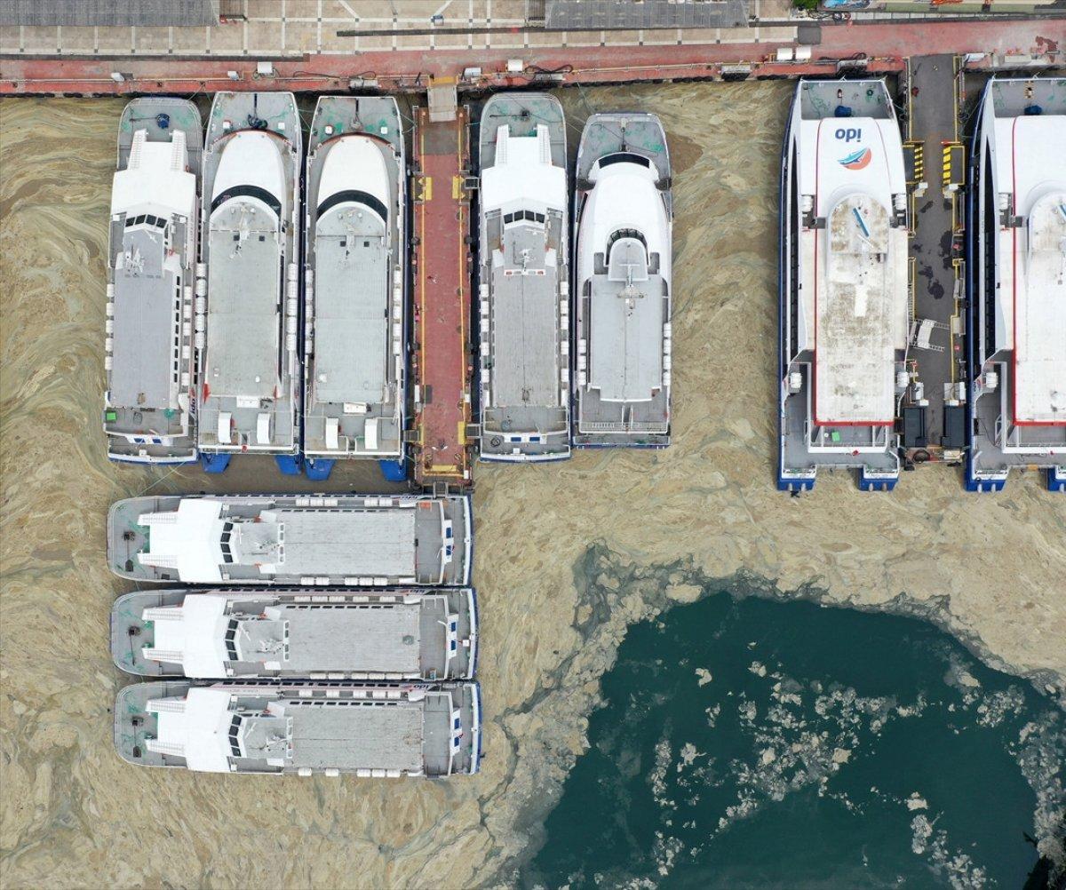 Marmara Denizi'ni deniz salyaları kapladı