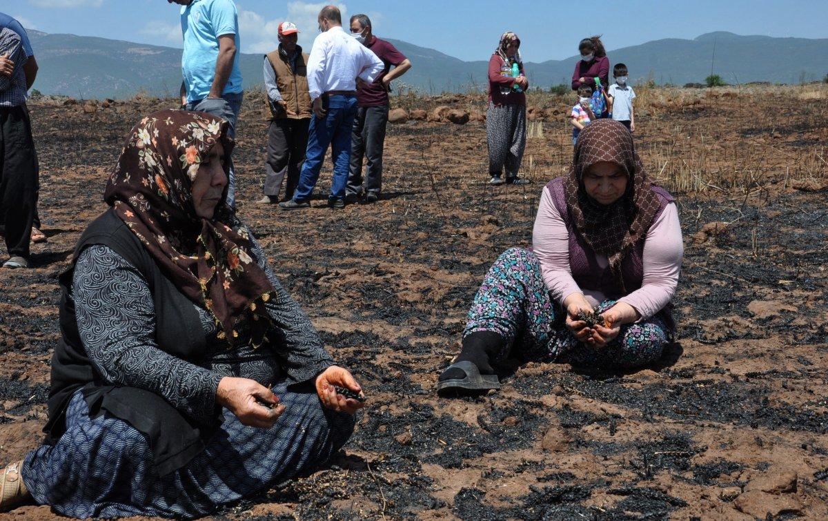 Gaziantep'te buğday ekili tarla küle döndü
