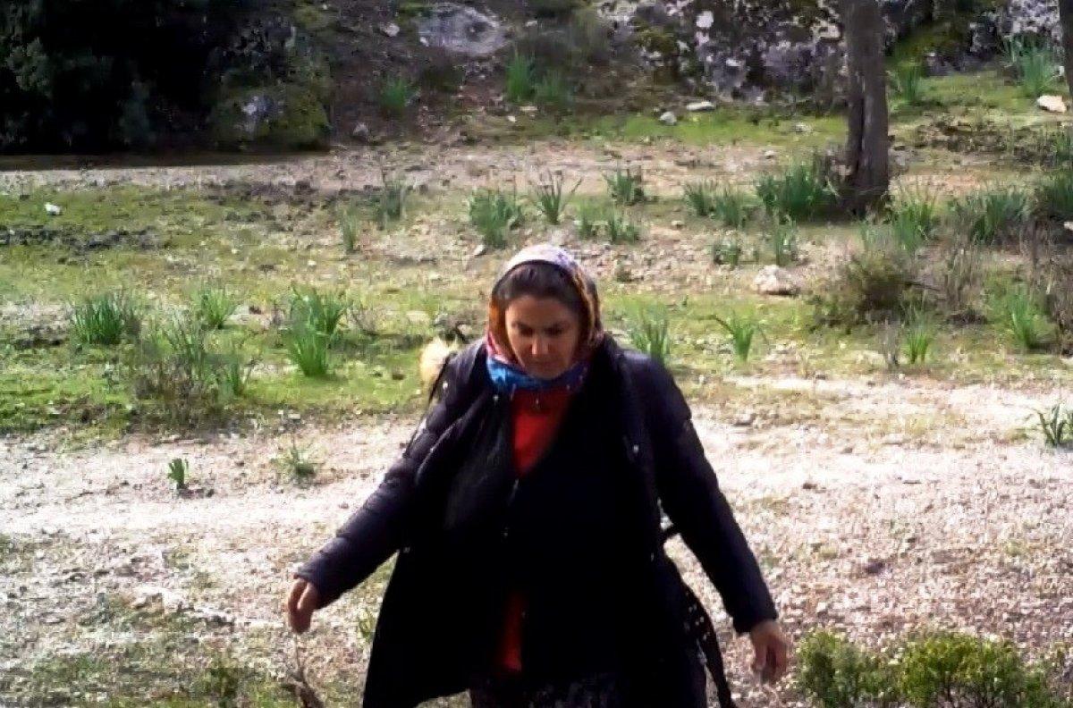 Aydın’da fotokapana taş atan kadın