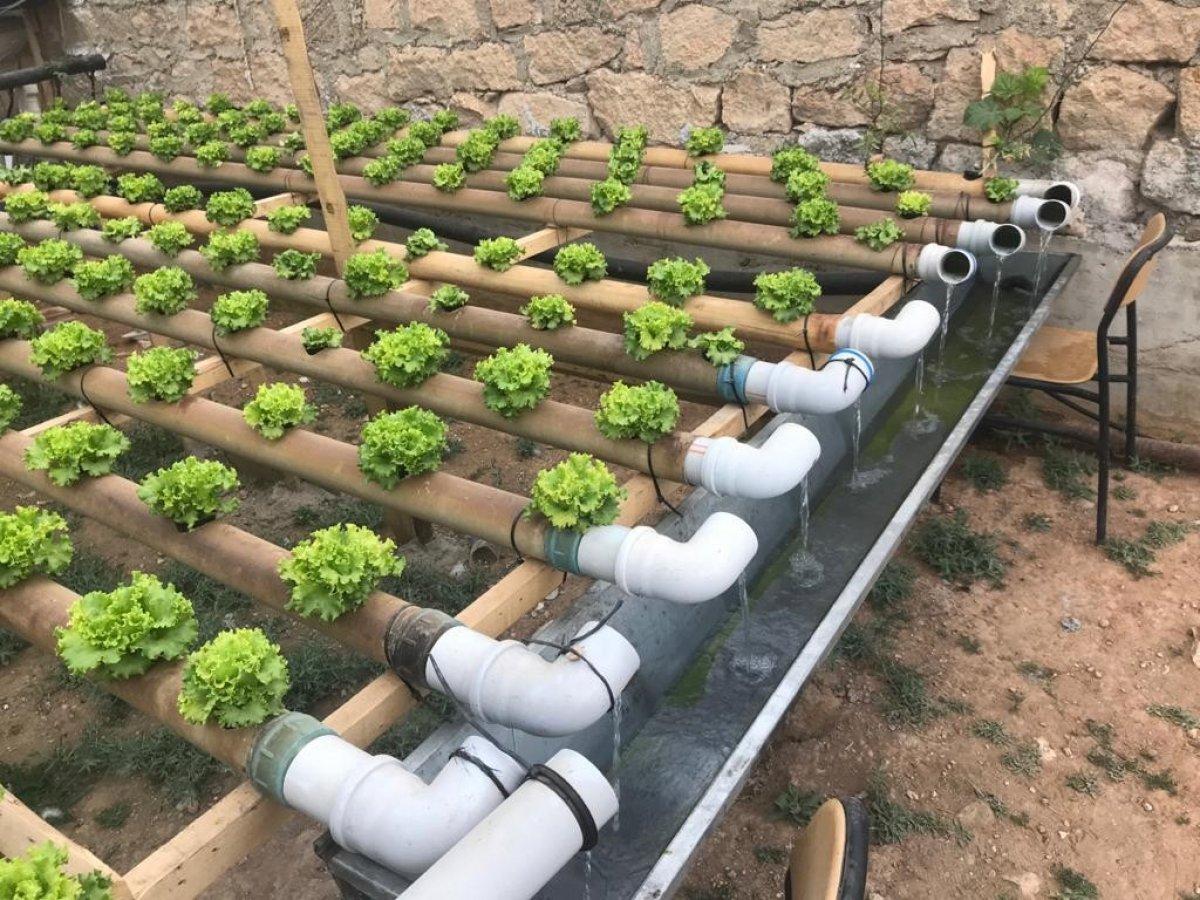 Topraksız seranın maliyeti daha az