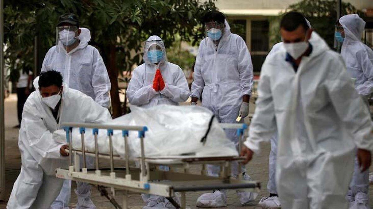 Siyah Mantar hastalığı Irak'a da sıçradı