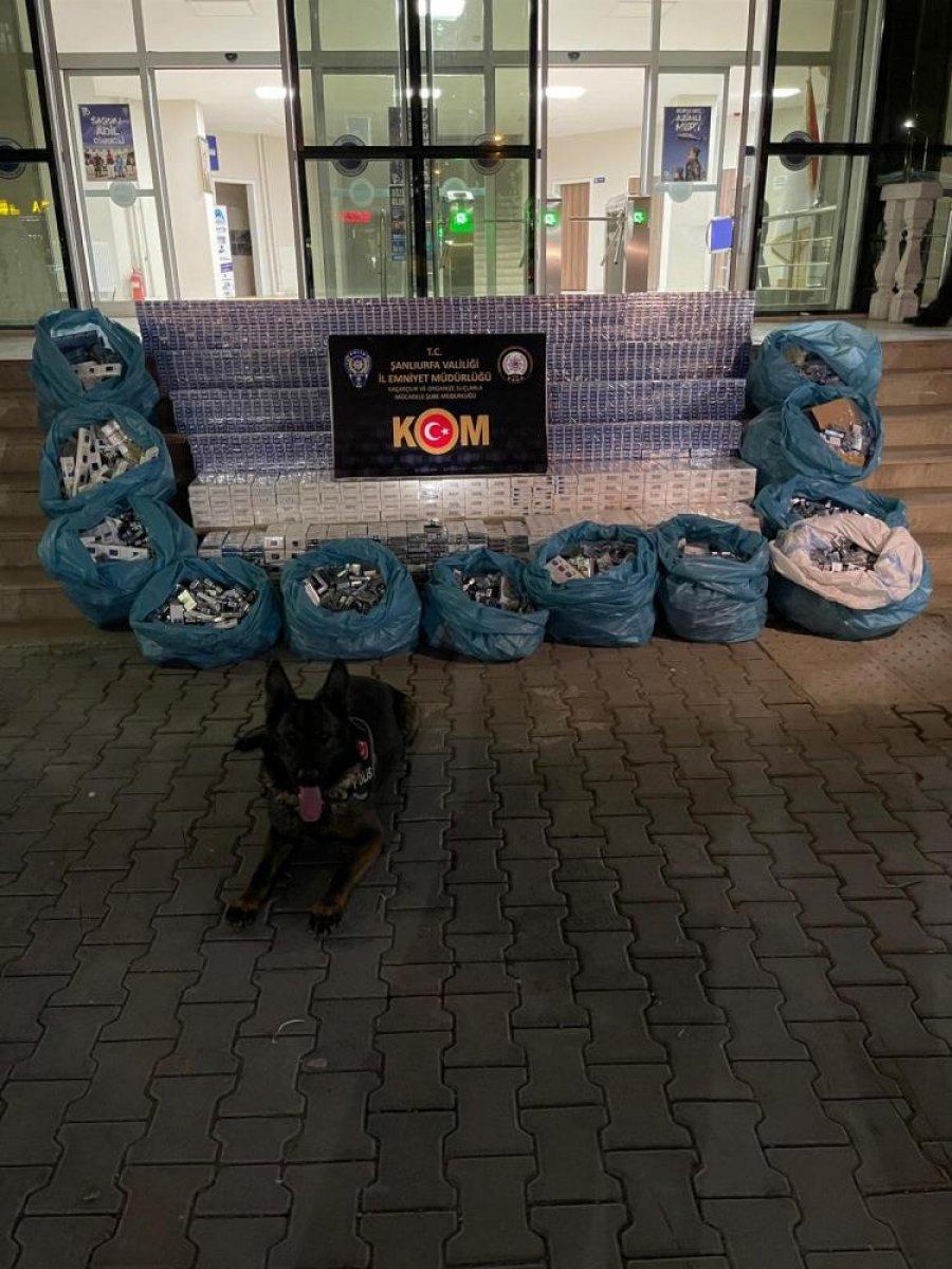 Şanlıurfa'da 10 bin 400 paket kaçak sigara ele geçirildi