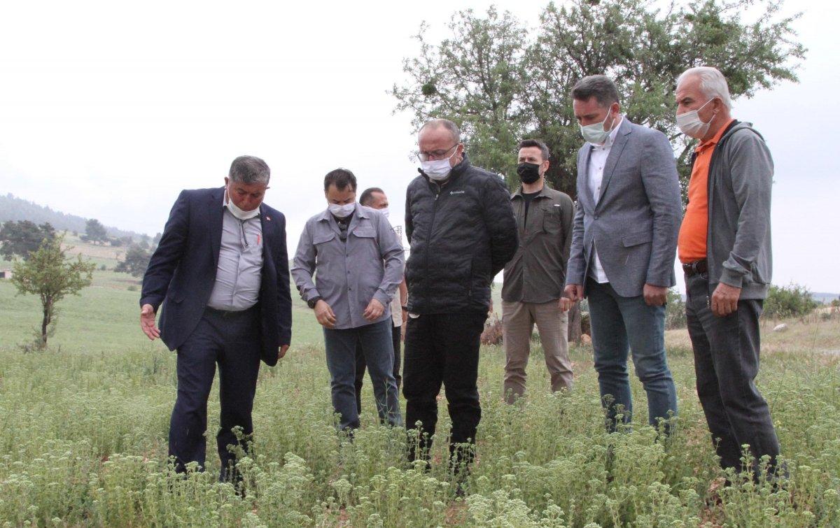 Denizli'de mahalleli istedi, vali taş ocağını kapattı
