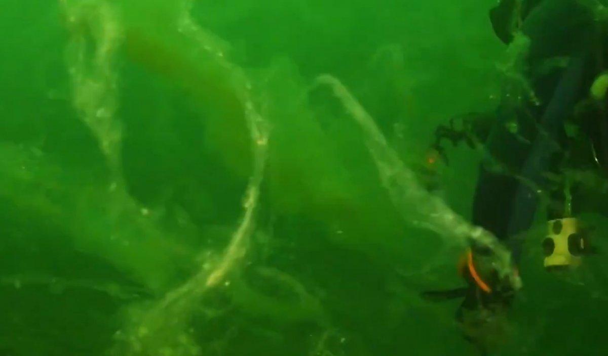 Deniz salyasıyla kaplanan Marmara Denizi’nin dibi görüntülendi