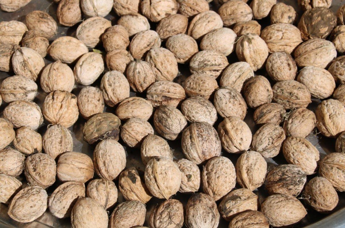 Hafızayı geliştiren 15 sağlıklı besin