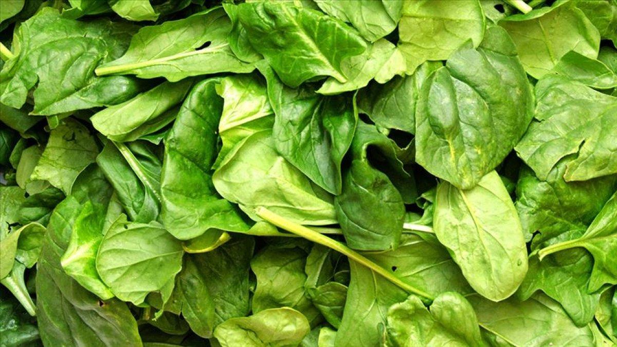 Hafızayı geliştiren 15 sağlıklı besin