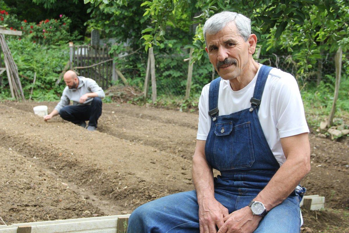 Salep orkidesinin ekimi izinle yapılıyor
