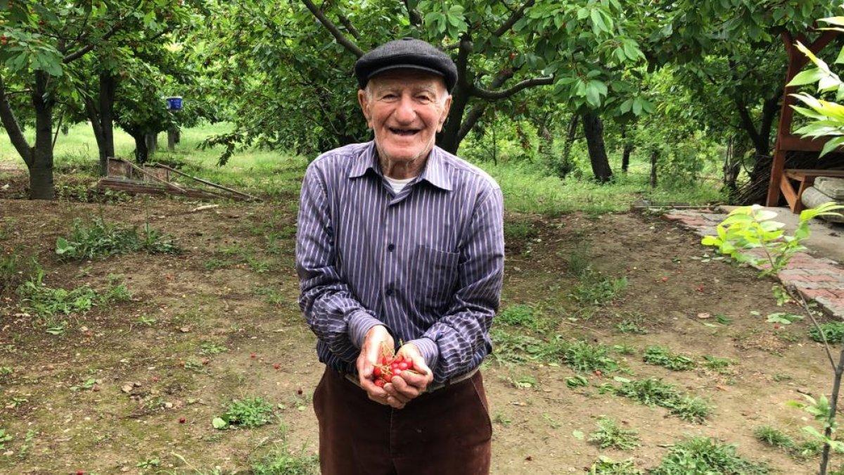 Amasya'da senenin ilk kiraz hasadı yapıldı