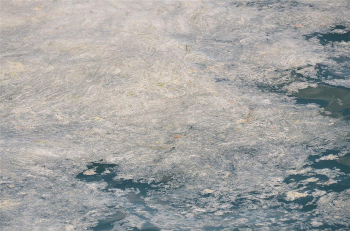 ODTÜ araştırma gemisi Bilim-2, deniz salyalarını takip edecek