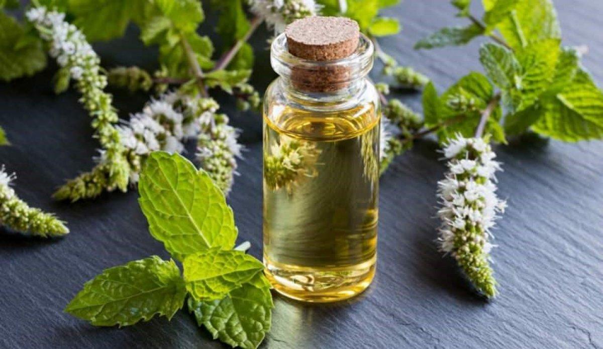 Evdeki karıncalardan kurtulmanın doğal yolları