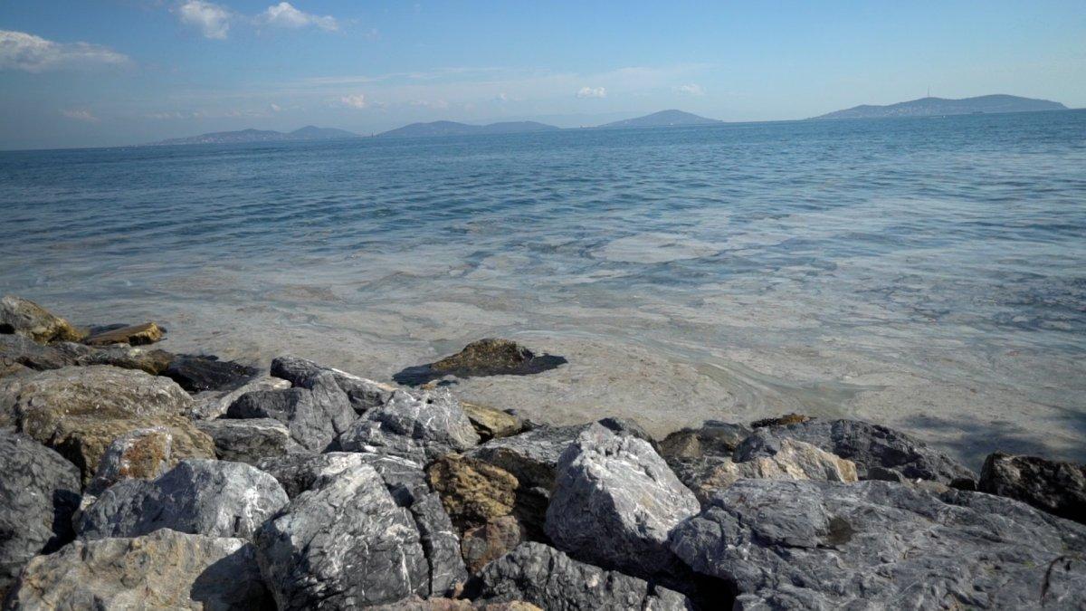 İstanbul'da sahillerdeki 'deniz salyası' sorunu