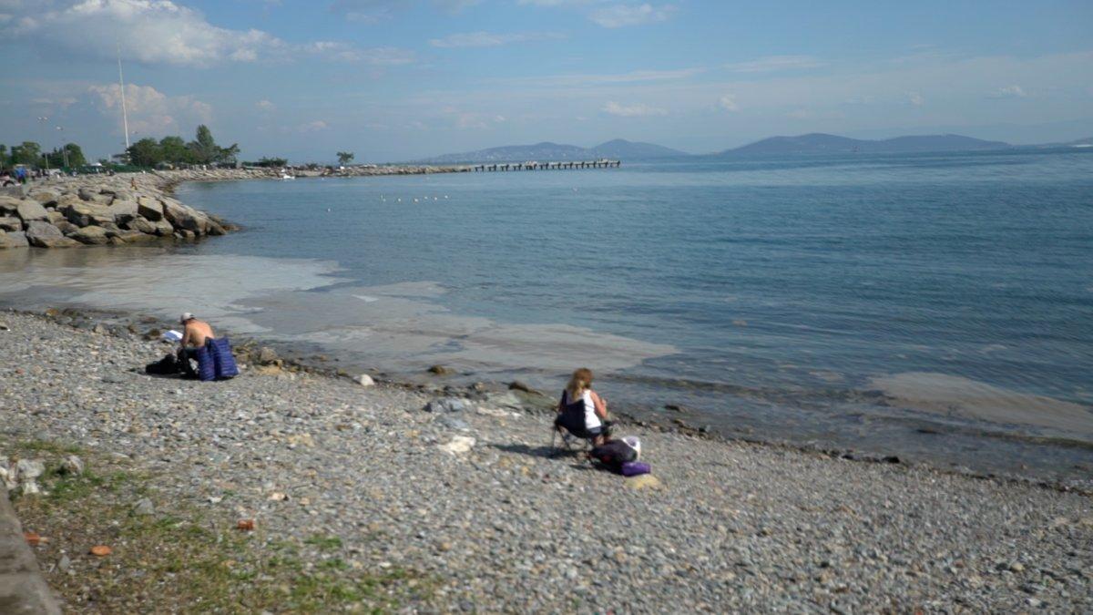 İstanbul'da sahillerdeki 'deniz salyası' sorunu