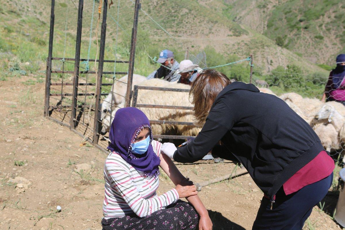 Aşı timleri, Tunceli'nin 2 bin 500 rakımlı yaylalarına çıktı