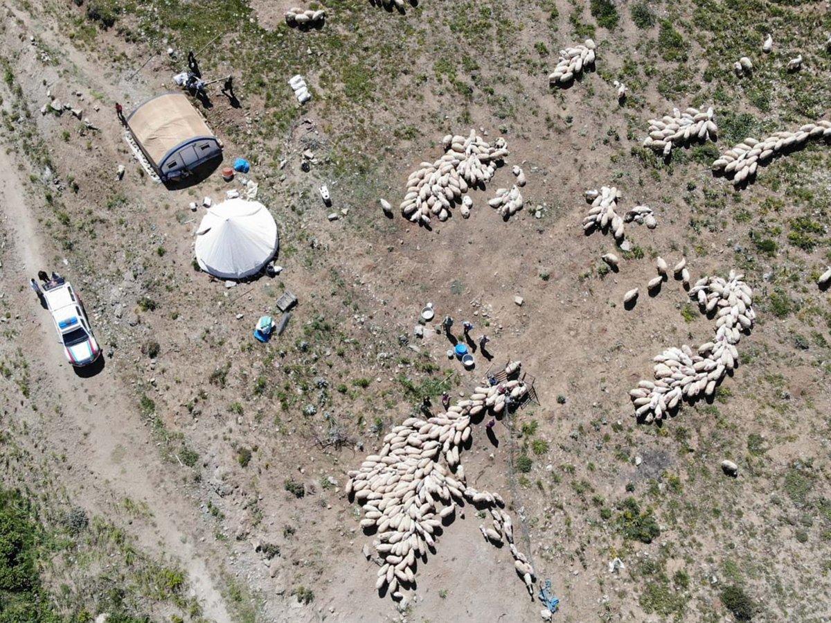 Aşı timleri, Tunceli'nin 2 bin 500 rakımlı yaylalarına çıktı