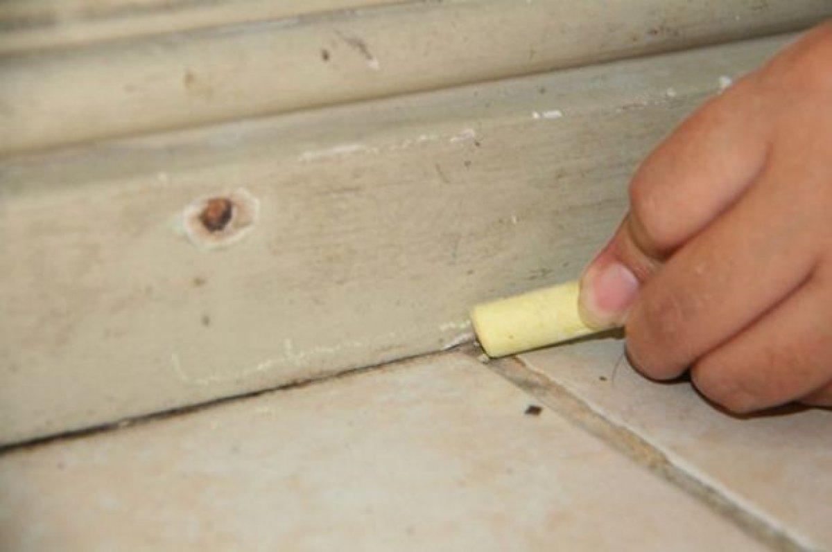 Evdeki karıncalardan kurtulmanın doğal yolları