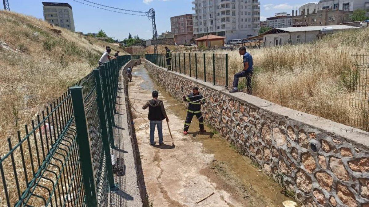 Adıyaman'da su kanalına düşen inek kurtarıldı
