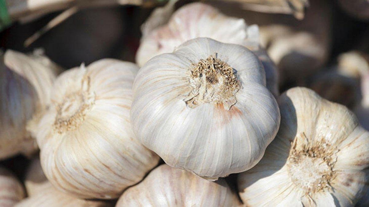 Damarları temizleyen 10 besin