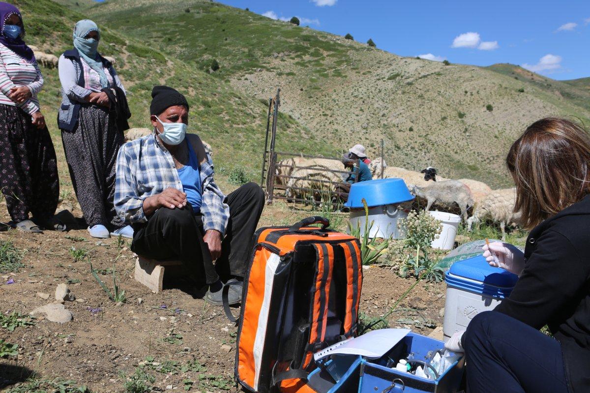 Aşı timleri, Tunceli'nin 2 bin 500 rakımlı yaylalarına çıktı