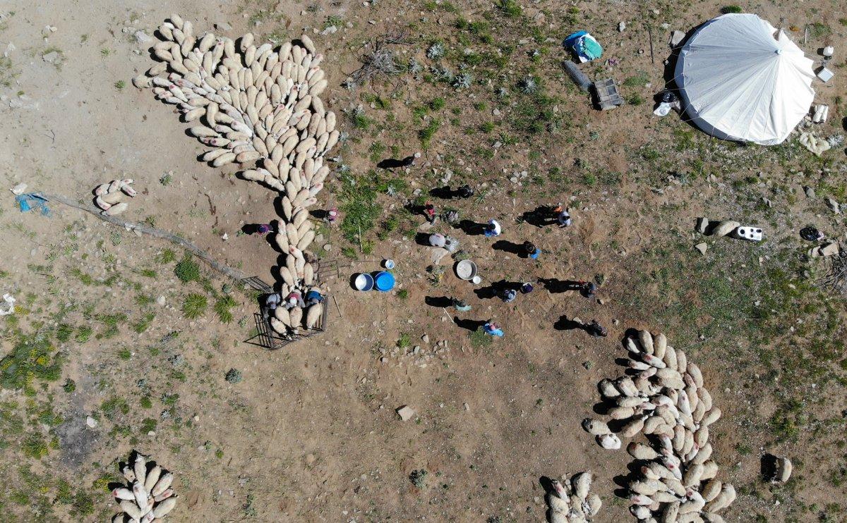 Aşı timleri, Tunceli'nin 2 bin 500 rakımlı yaylalarına çıktı