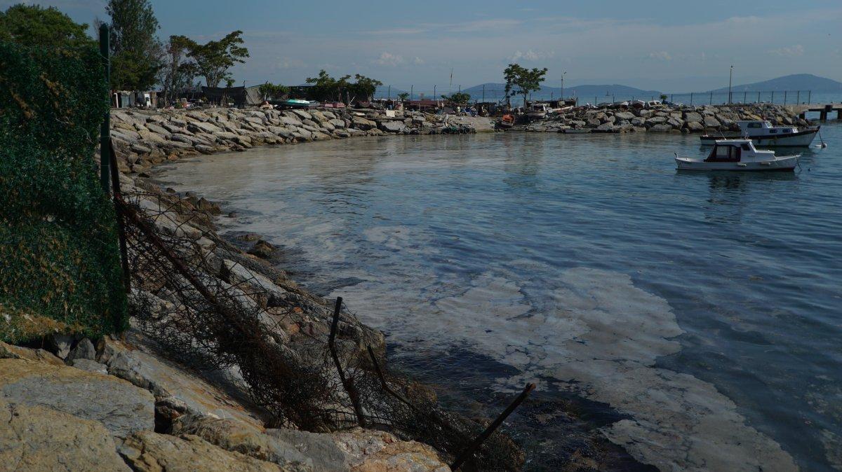 İstanbul'da sahillerdeki 'deniz salyası' sorunu