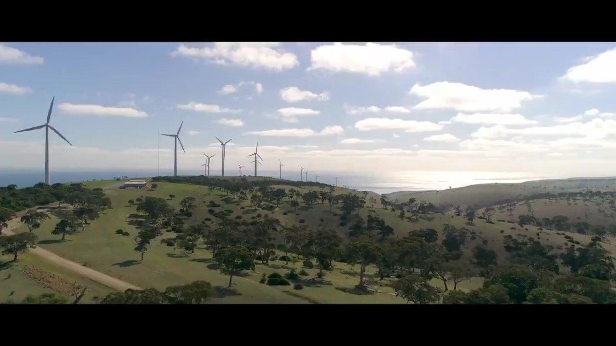 Cumhurbaşkanı Erdoğan Dünya Çevre Günü için Ağaç şiirini seslendirdi