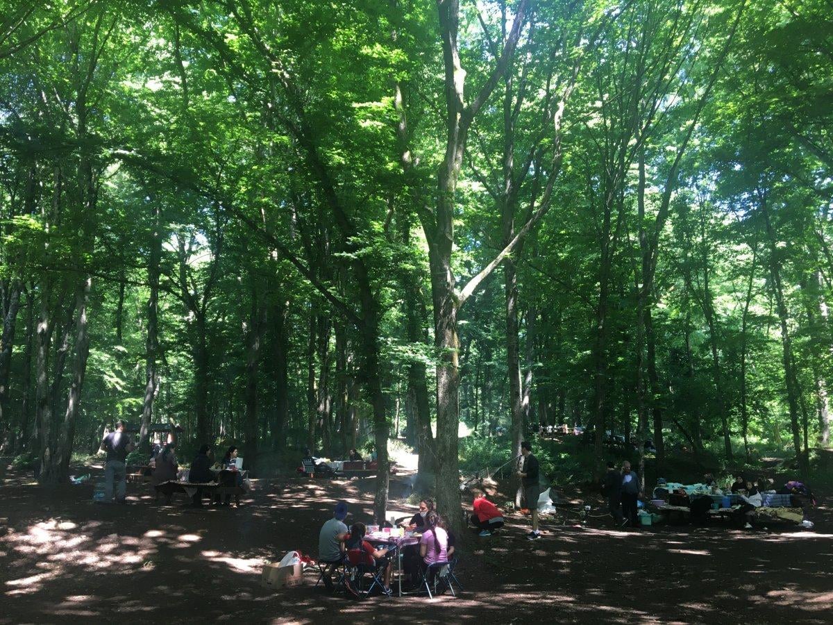 Belgrad Ormanı'nda kısıtlamasız ilk cumartesi yoğunluğu