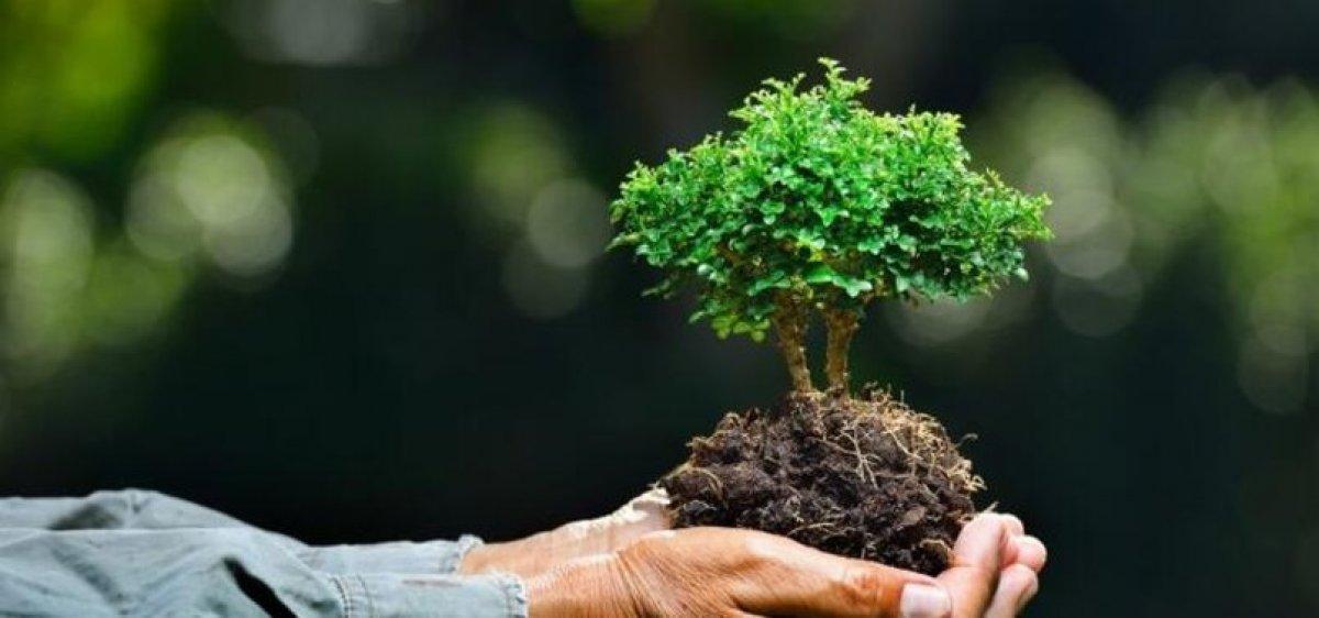 5 Haziran Dünya Çevre Günü: Çevrecilik ile ilgili sözler ve mesajlar 2021