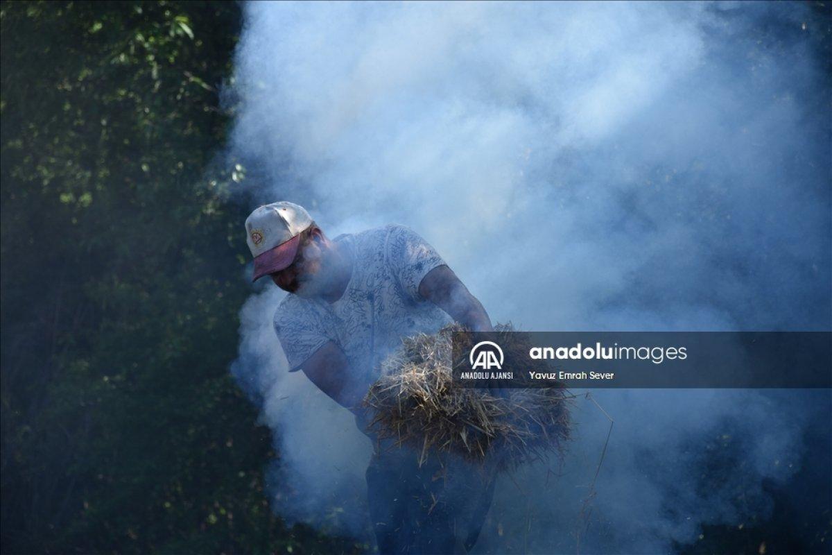 Bilecik'te meşe odunlarını mangal kömürüne dönüştürüyorlar