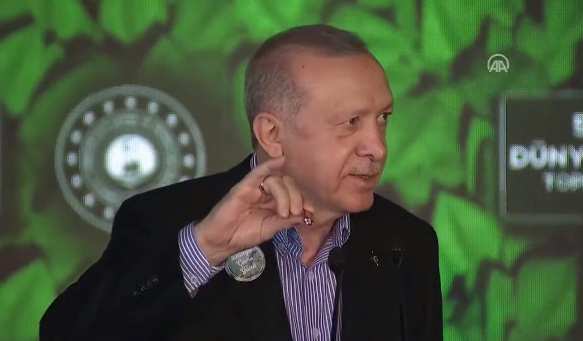 Cumhurbaşkanı Erdoğan’ın ‘doğal makas’ı
