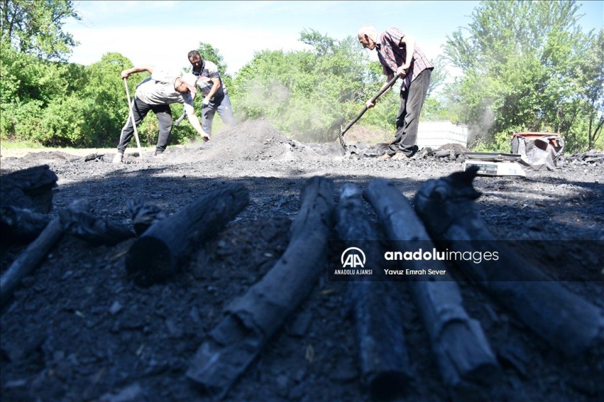 Bilecik'te meşe odunlarını mangal kömürüne dönüştürüyorlar