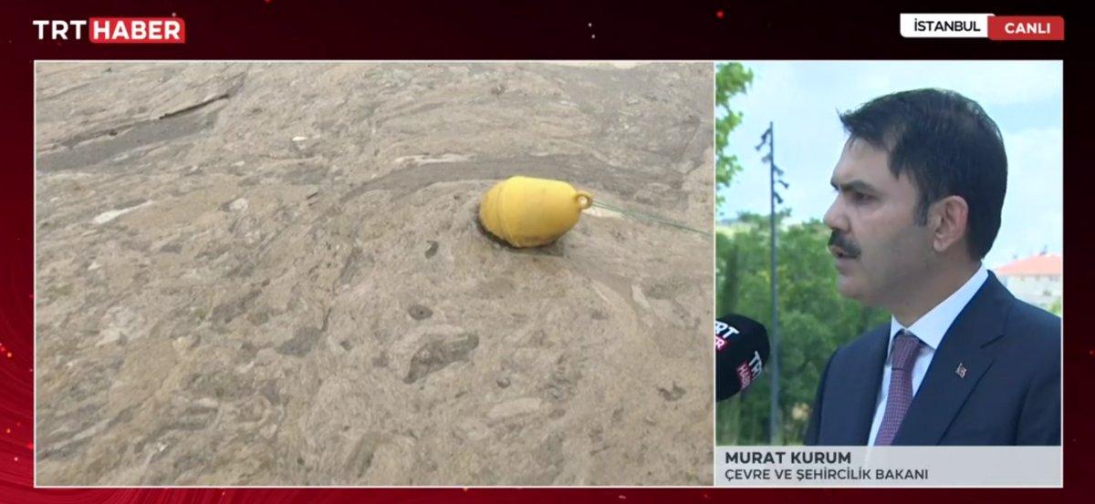 Deniz salyasıyla ilgili son durum Murat Kurum'a soruldu