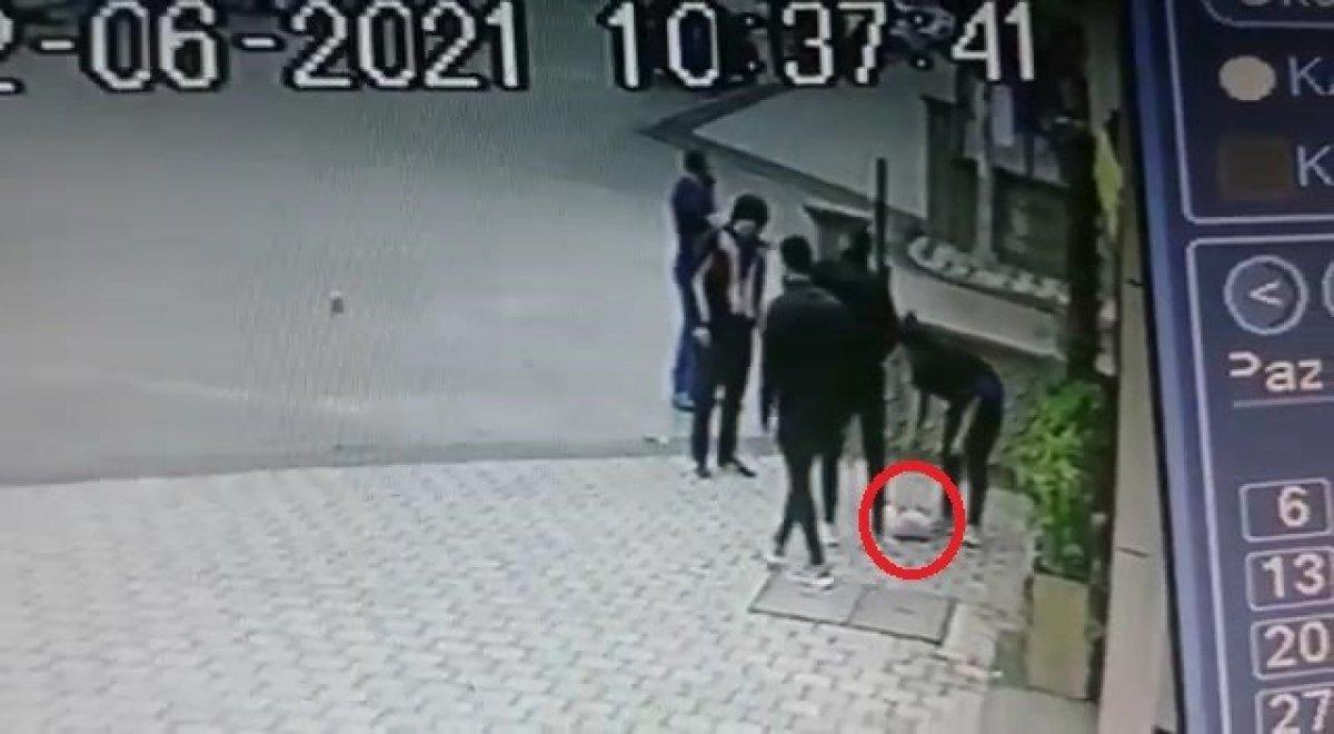 Bursa'da küçük köpeğe pitbull saldırdı