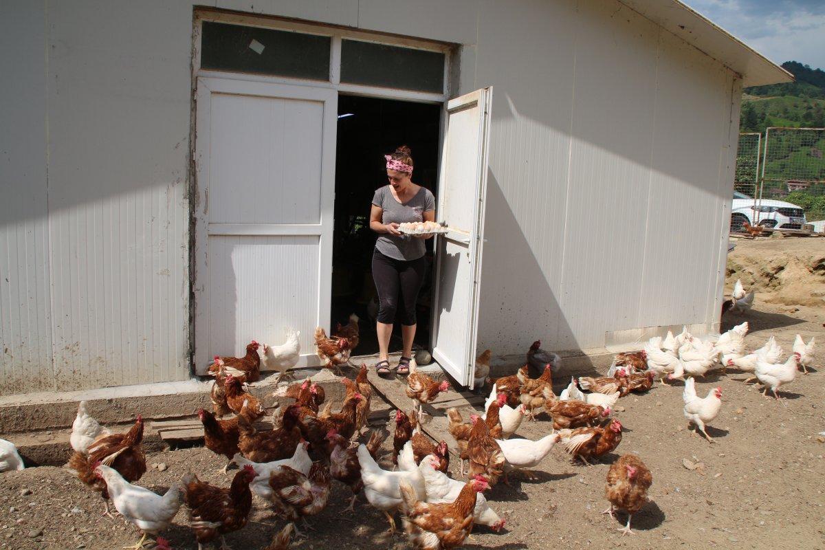 Rizeli girişimci kadın, köyüne dönüp tavuk çiftliği kurdu
