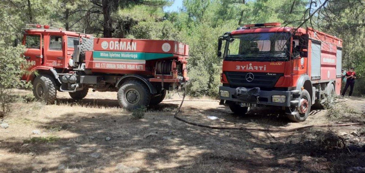 Muğla'da araç yangını ormana sıçradı