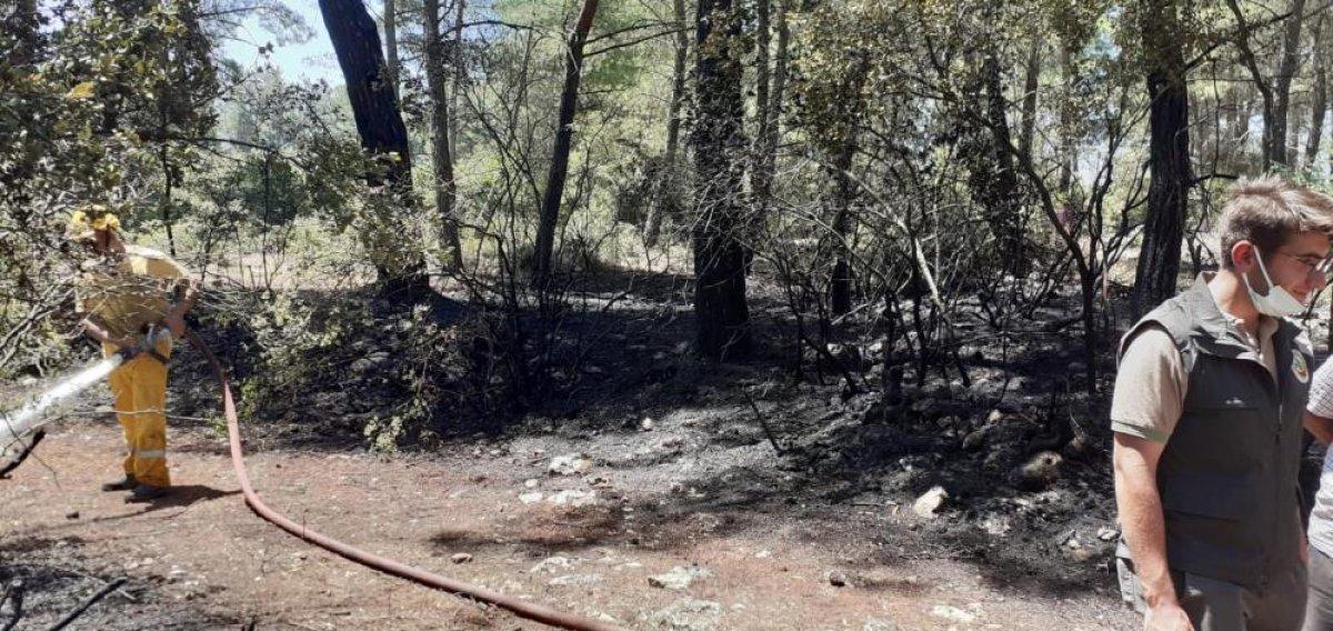 Muğla'da araç yangını ormana sıçradı