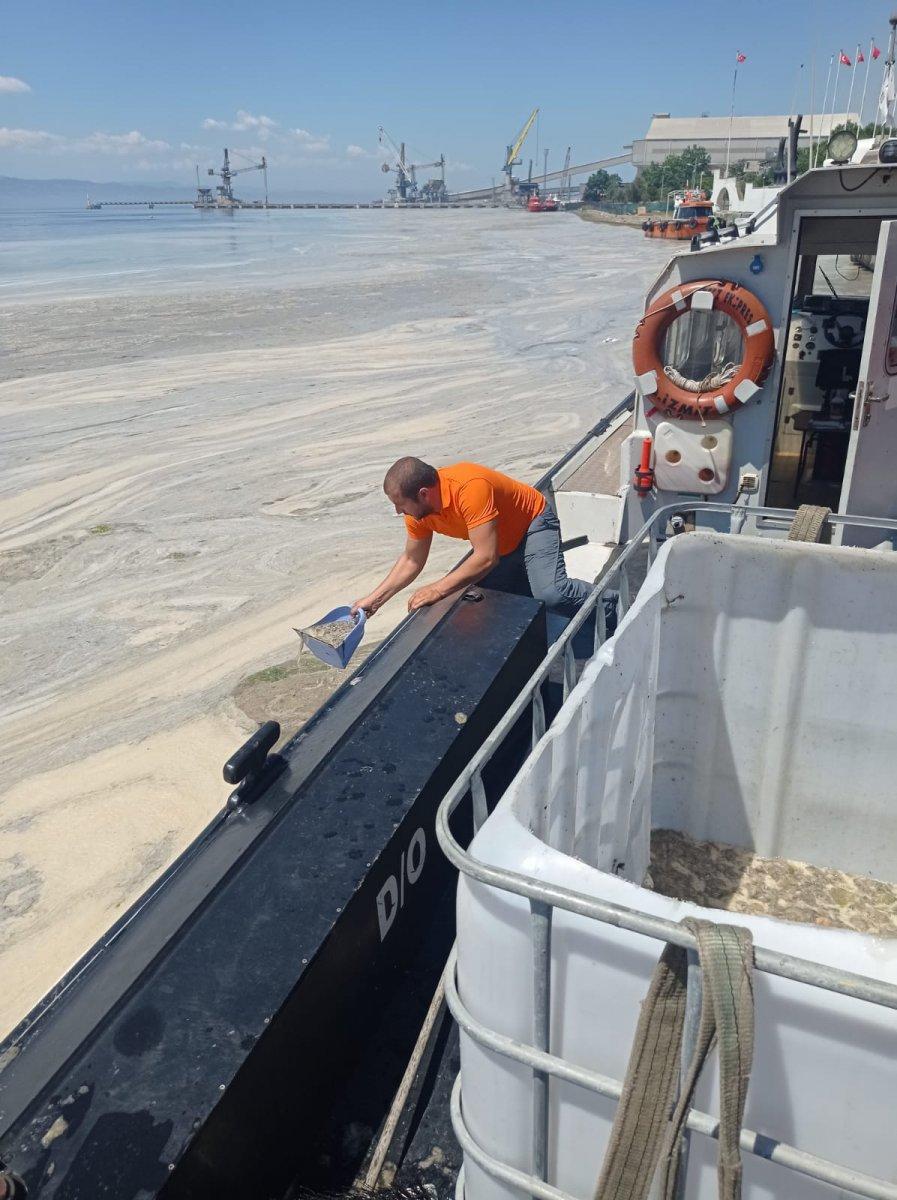 Kocaeli'de iki kardeş kürekle deniz salyası topladı