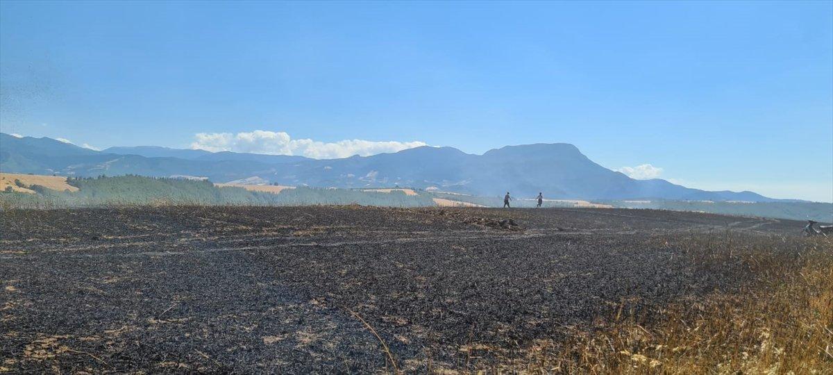 Osmaniye'de buğday ekili tarlada yangın çıktı