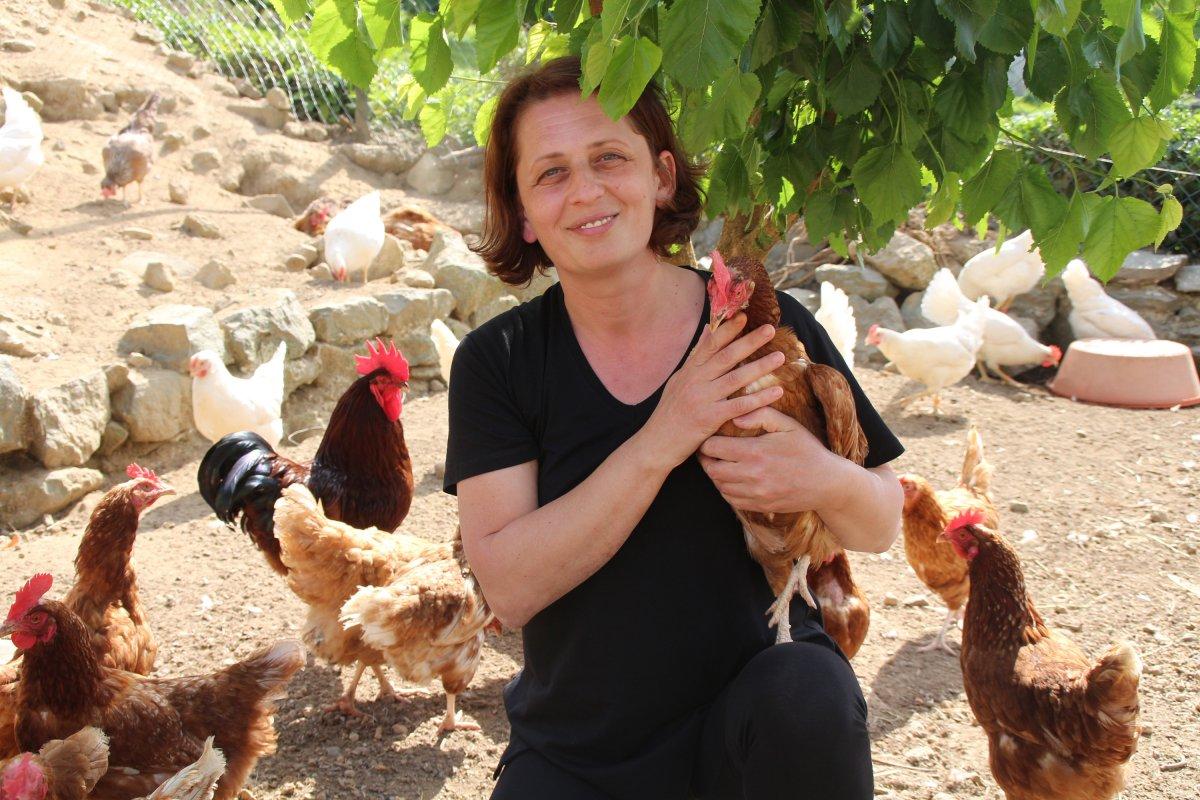 Rizeli girişimci kadın, köyüne dönüp tavuk çiftliği kurdu