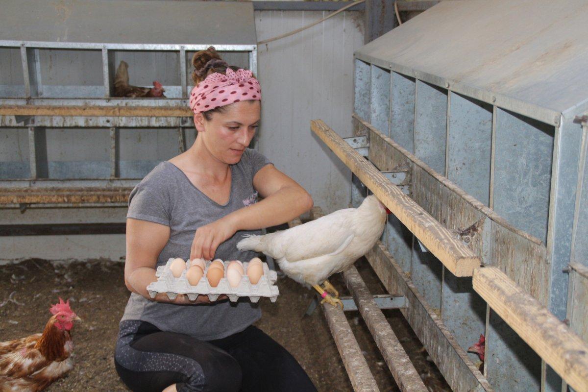 Rizeli girişimci kadın, köyüne dönüp tavuk çiftliği kurdu