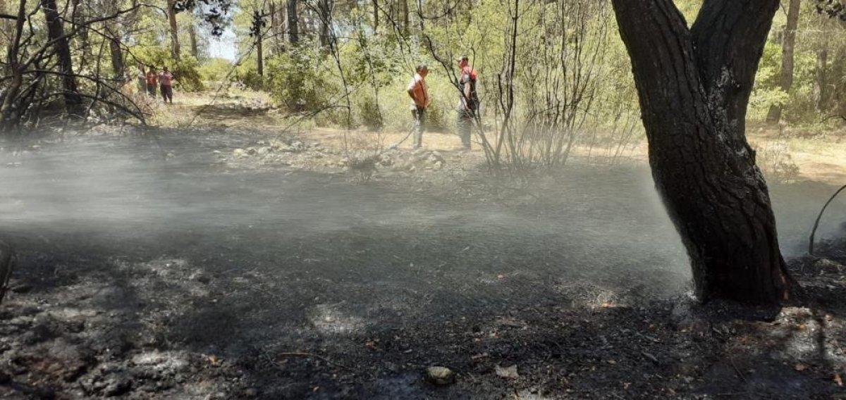 Muğla'da araç yangını ormana sıçradı