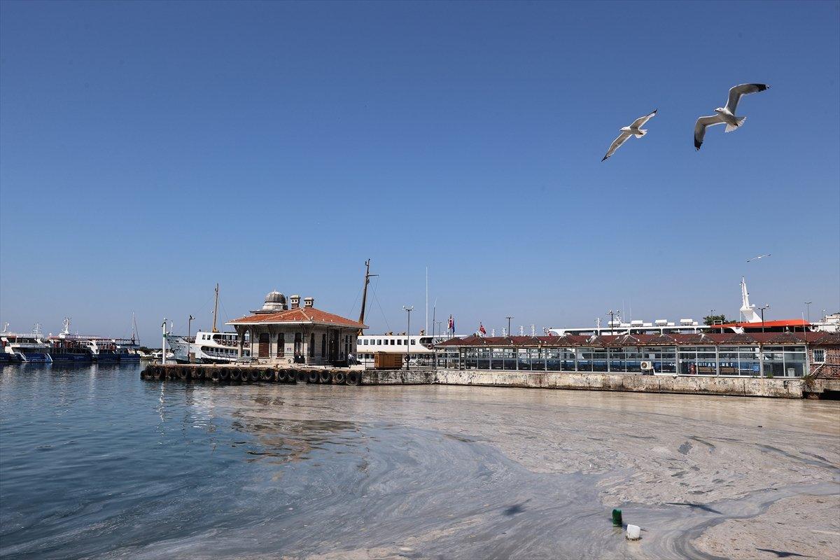 Murat Kurum: Marmara ve Boğaz'da gereken adımları atacağız