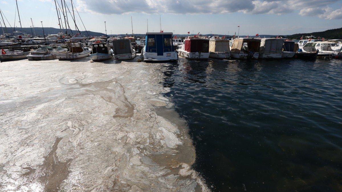 Müsilaj nedeniyle zarar gören balıkçılara ekonomik destek