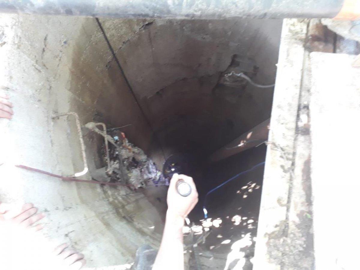 Aydın'da kuyuya düşen yavru kedi kurtarıldı